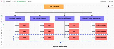 Program Organization Chart