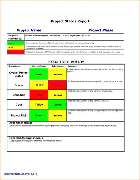 Project Management Final Report Template