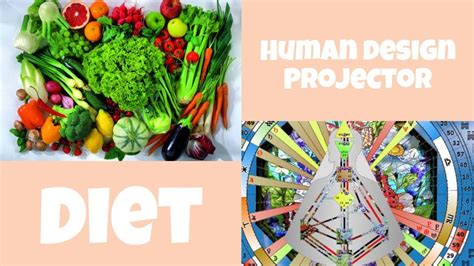Projector Human Design Diet