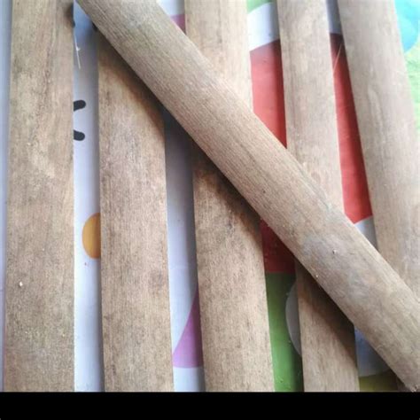 Promo batang bilah bambu - bahan pagar tanaman Diskon 5% di Seller Bumi