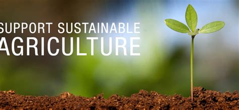 Promote Sustainable Agriculture