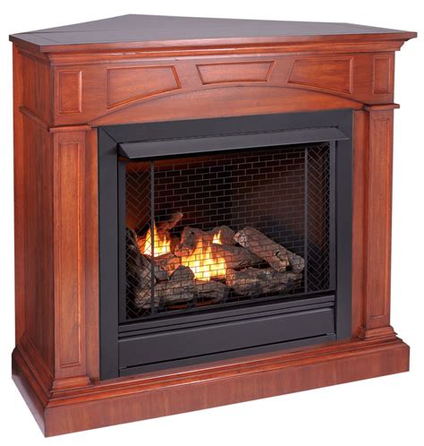 Outstanding Propane Fireplace With Blower References