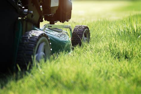 Proper Equipment with Lawn Care Services in Southington, CT