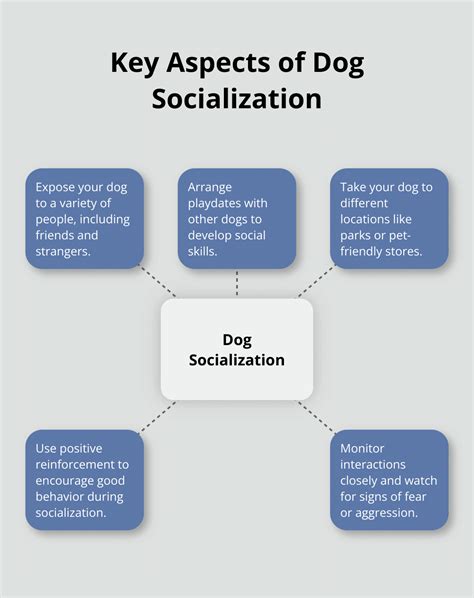 Proper Socialization Techniques