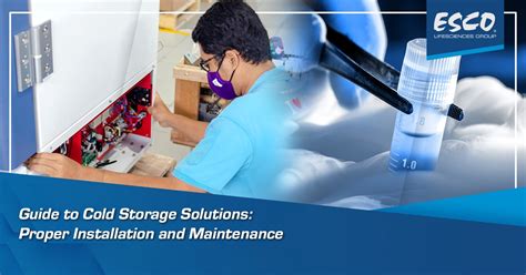 Proper Storage and Maintenance