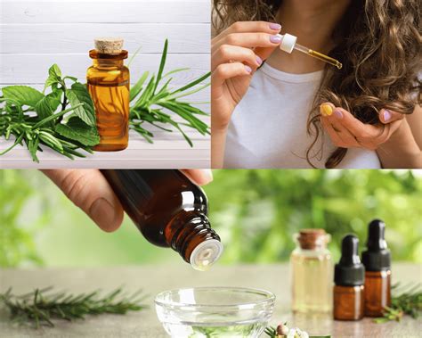 How to Use Redwin Tea Tree Shampoo for Maximum Results