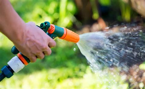 Proper Watering is Crucial for Lawn Health