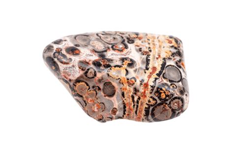 Unleashing the Splendor of Leopard Skin Jasper: A Glimpse into its Remarkable Properties