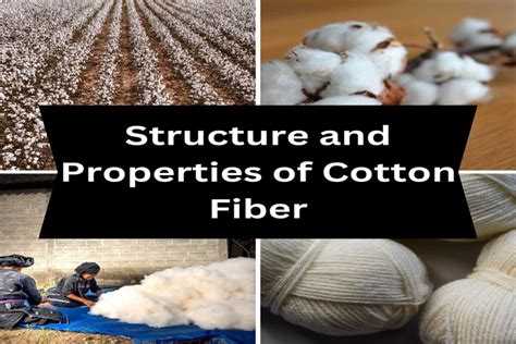 Properties of Cotton