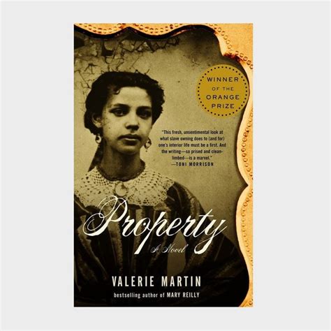 Unraveling the Complexities of Property: A Sparkling Review by Valerie Martin