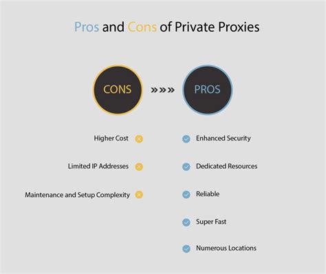 Pros and Cons Private Guide