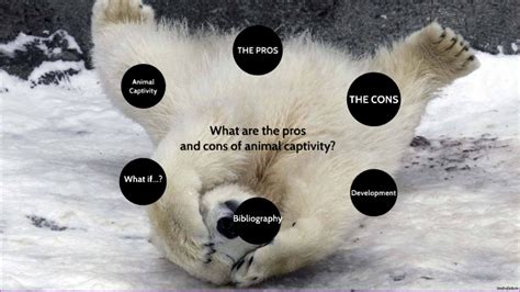 Pros of Animal Captivity