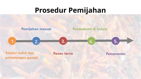 Proses Pemijahan