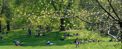 Prospect Park Overview