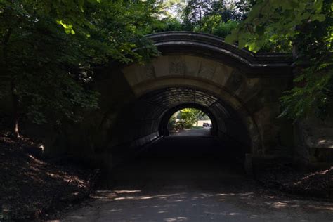 Prospect Park Summer