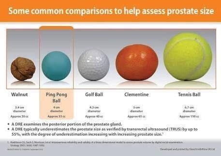 Prostate Size Chart In Cc