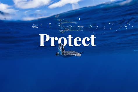 Protect Marine Life