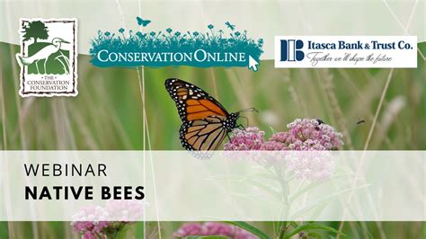 Protecting Native Bees