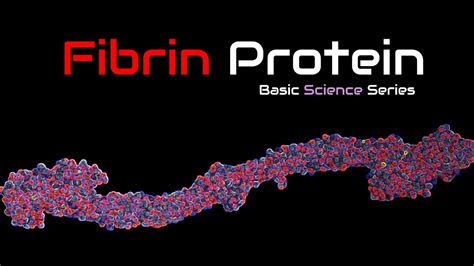 Protein Fibrinogen