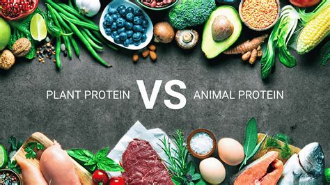 Protein: Quality Over Quantity