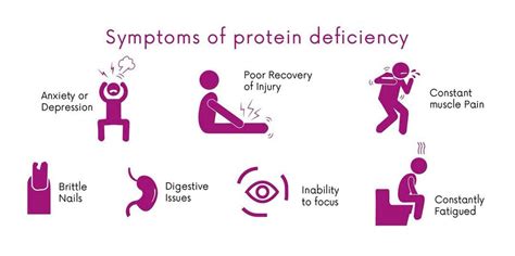 Protein Overload vs Protein Deficiency