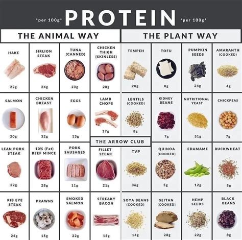 Protein Sources and Levels