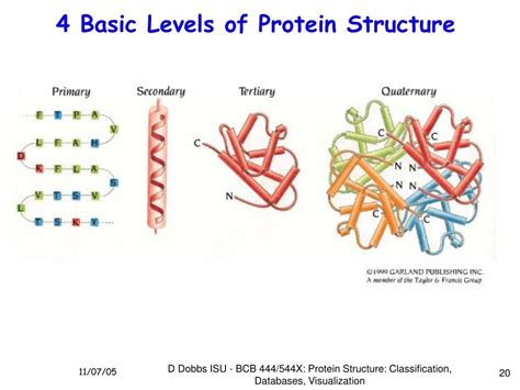 Protein Structural Classification Database