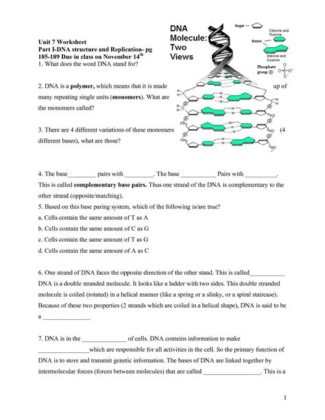 Protein Synthesis Worksheet Answer Key Part B — db-excel.com