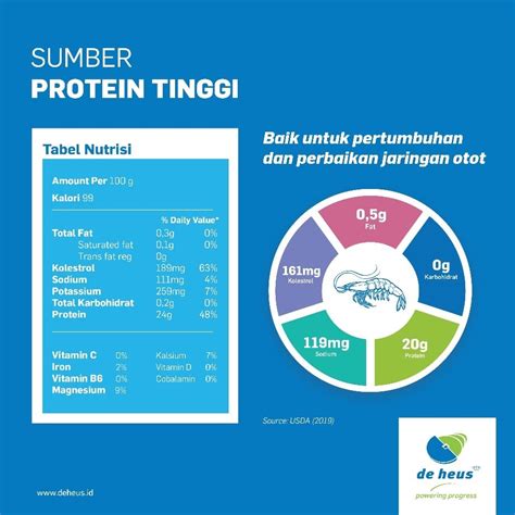 Protein Udang