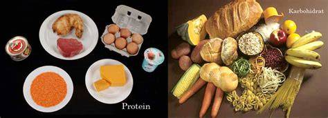 Protein