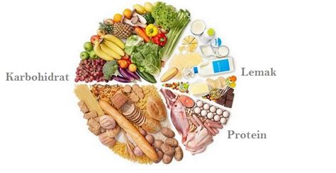 Protein dan Lemak Sehat