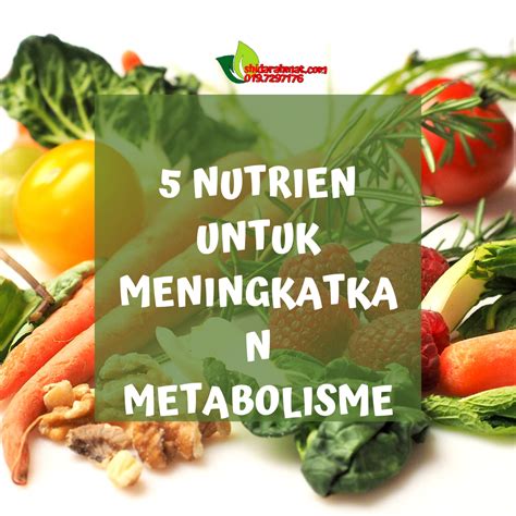 Protein untuk Meningkatkan Metabolisme