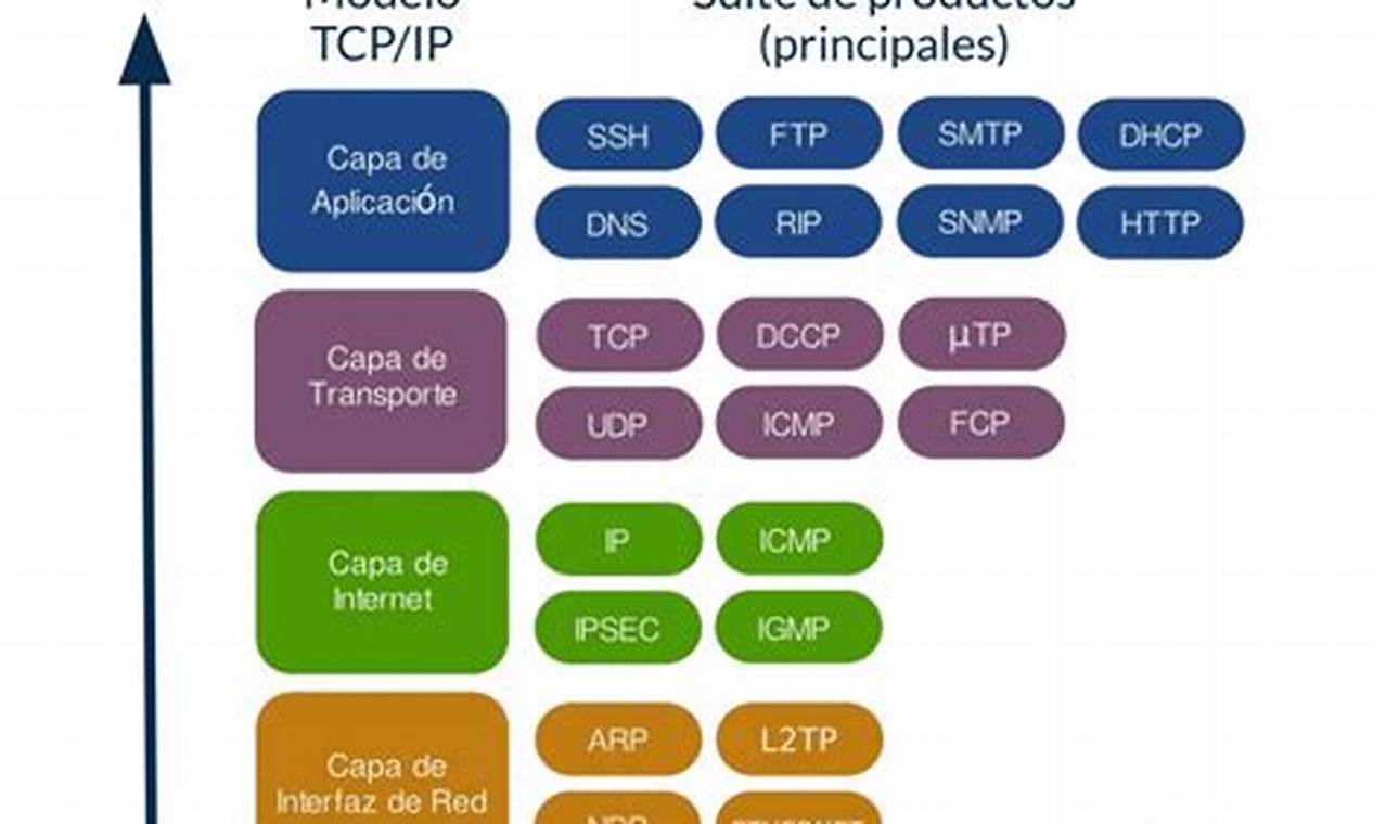 Protocolos De La Capa De Transporte Del Modelo Tcp Ip