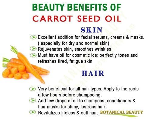 Proven Benefits of Using Carrot Oil For Hair