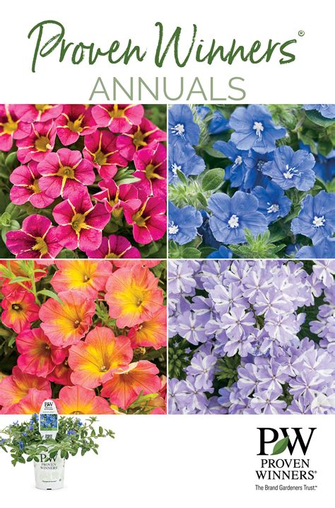 Proven Winners Seeds Catalog