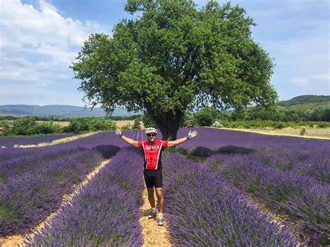 Provence Bike Tour Guide