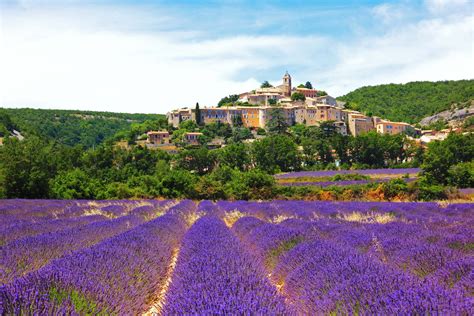 Provence France Fields