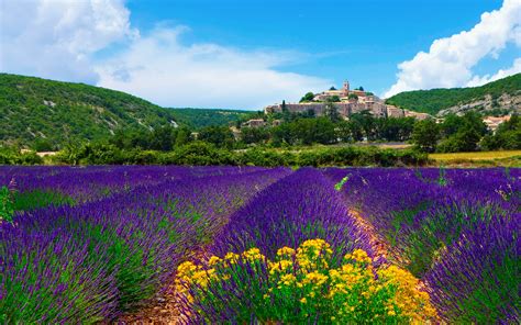 Provence Private Tour Review: Aix, Marseille & Cassis