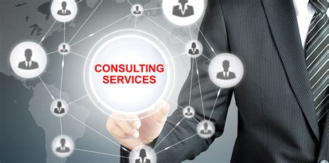 Provide Consulting Services