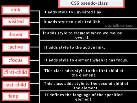 Tutorial Pseudo-Class CSS
