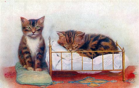 Public Domain Free Images Pets