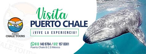 Puerto Chale tour