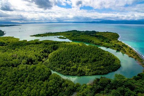 Puerto Jimenez Tour Promises