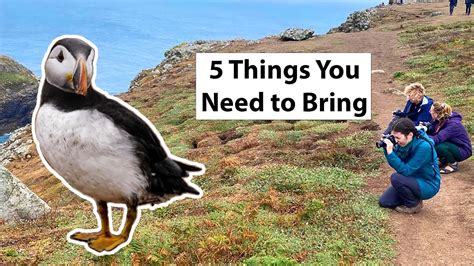 Puffin Watching Essentials