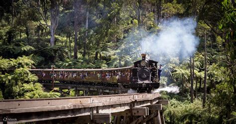 Puffing Billy Rainforest Tour Experience