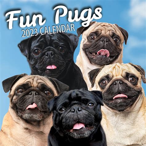 Pug Puppies 2023 Mini Wall Calendar 7x7