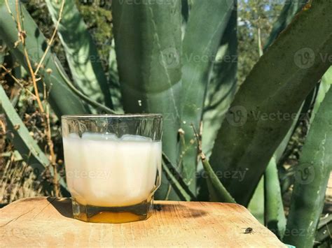 Pulque Drink