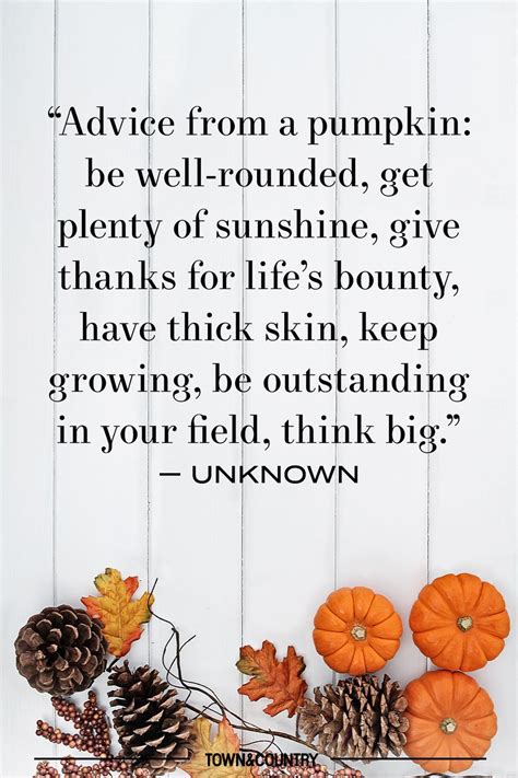 Pumpkin Decorating Quotes