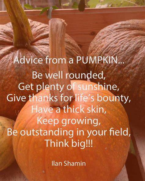 Pumpkin Kindness Quotes