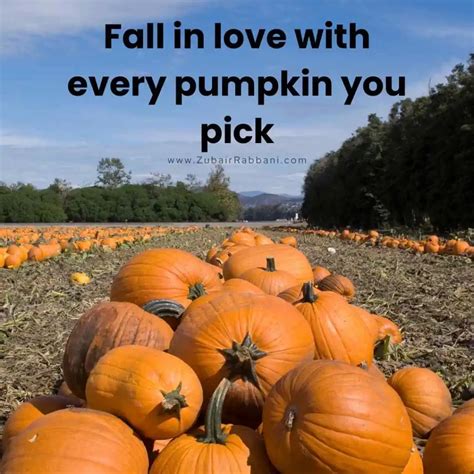 Pumpkin Patch Quotes For Couples
